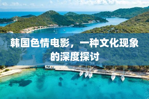 韓國色情電影，一種文化現(xiàn)象的深度探討