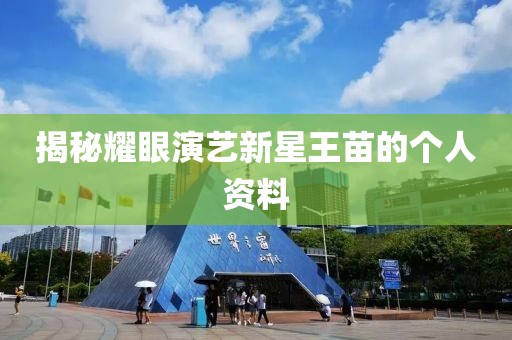 揭秘耀眼演藝新星王苗的個(gè)人資料
