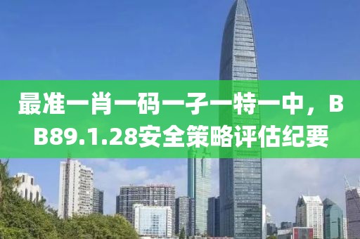 最準(zhǔn)一肖一碼一孑一特一中，BB89.1.28安全策略評估紀(jì)要