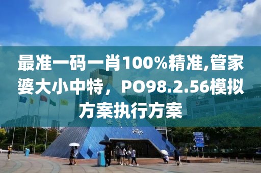 最準(zhǔn)一碼一肖100%精準(zhǔn),管家婆大小中特，PO98.2.56模擬方案執(zhí)行方案