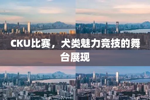 CKU比賽，犬類魅力競技的舞臺展現(xiàn)