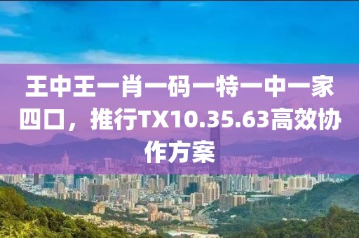 王中王一肖一碼一特一中一家四口，推行TX10.35.63高效協(xié)作方案