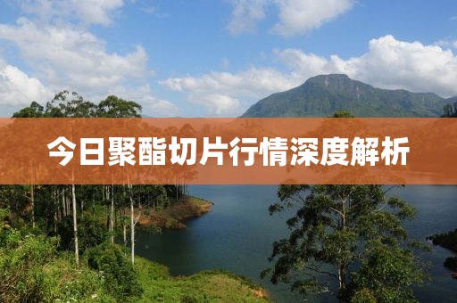 今日聚酯切片行情深度解析