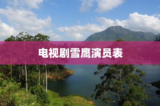電視劇雪鷹演員表