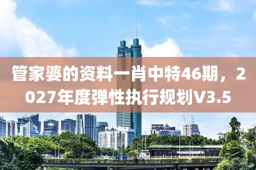 管家婆的資料一肖中特46期，2027年度彈性執(zhí)行規(guī)劃V3.5