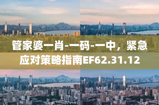 管家婆一肖-一碼-一中，緊急應(yīng)對(duì)策略指南EF62.31.12