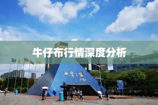 牛仔布行情深度分析