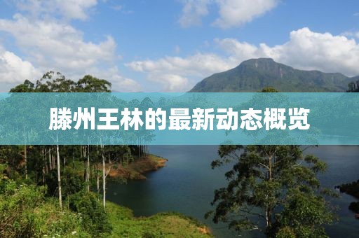 滕州王林的最新動(dòng)態(tài)概覽