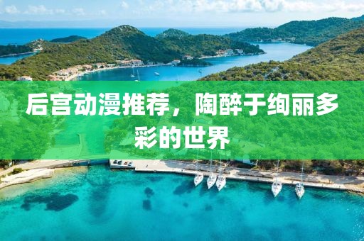 后宮動漫推薦，陶醉于絢麗多彩的世界