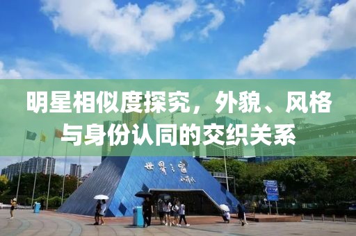 明星相似度探究，外貌、風(fēng)格與身份認(rèn)同的交織關(guān)系