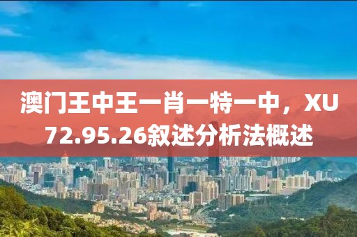澳門王中王一肖一特一中，XU72.95.26敘述分析法概述