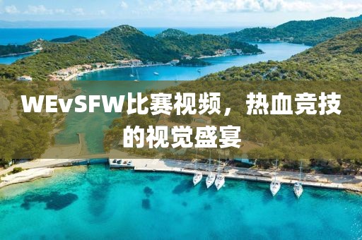 WEvSFW比賽視頻，熱血競(jìng)技的視覺盛宴