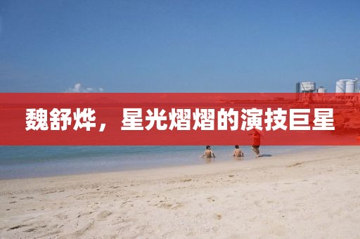 魏舒燁，星光熠熠的演技巨星