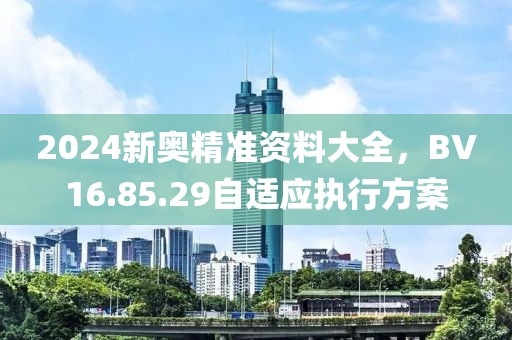 2024新奧精準(zhǔn)資料大全，BV16.85.29自適應(yīng)執(zhí)行方案