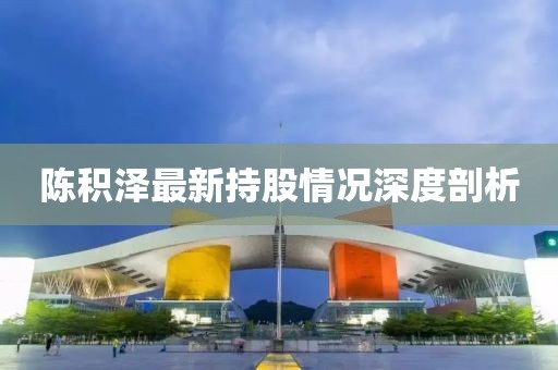 陳積澤最新持股情況深度剖析