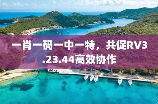 一肖一碼一中一特，共促RV3.23.44高效協(xié)作
