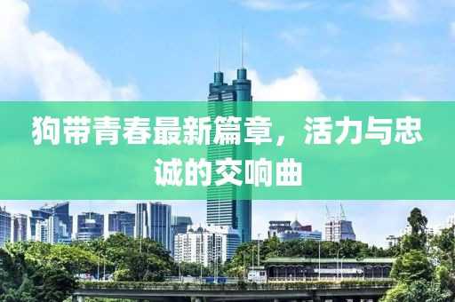 狗帶青春最新篇章，活力與忠誠(chéng)的交響曲
