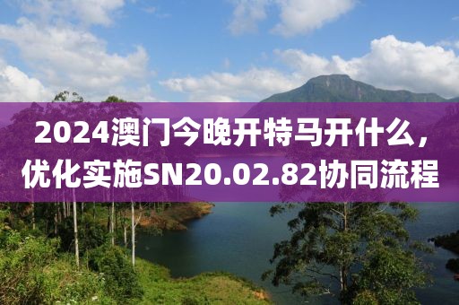2024澳門今晚開特馬開什么，優(yōu)化實施SN20.02.82協(xié)同流程