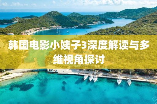韓國電影小姨子3深度解讀與多維視角探討