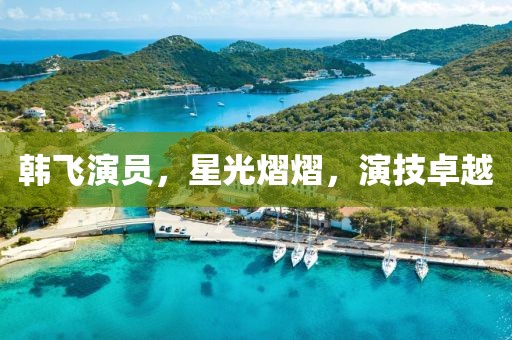韓飛演員，星光熠熠，演技卓越