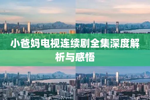 小爸媽電視連續(xù)劇全集深度解析與感悟