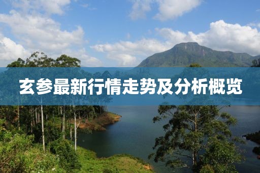 玄參最新行情走勢及分析概覽
