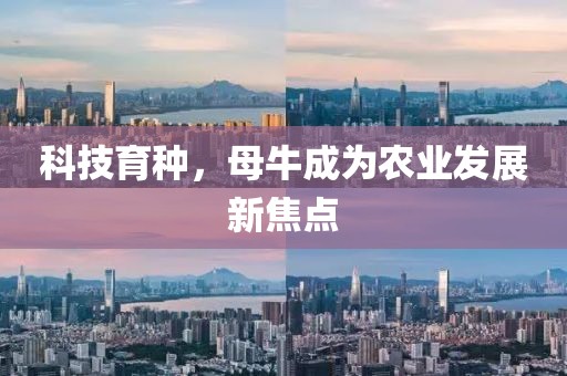 科技育種，母牛成為農(nóng)業(yè)發(fā)展新焦點