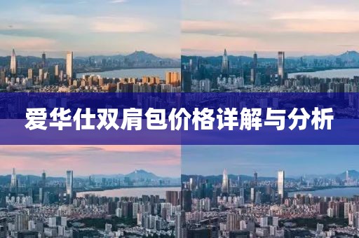 愛華仕雙肩包價格詳解與分析