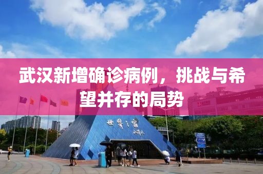 武漢新增確診病例，挑戰(zhàn)與希望并存的局勢