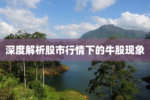 深度解析股市行情下的牛股現(xiàn)象