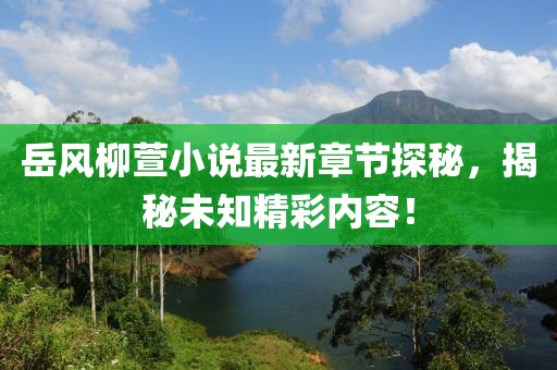 岳風(fēng)柳萱小說(shuō)最新章節(jié)探秘，揭秘未知精彩內(nèi)容！