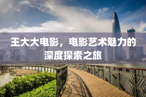 王大大電影，電影藝術(shù)魅力的深度探索之旅
