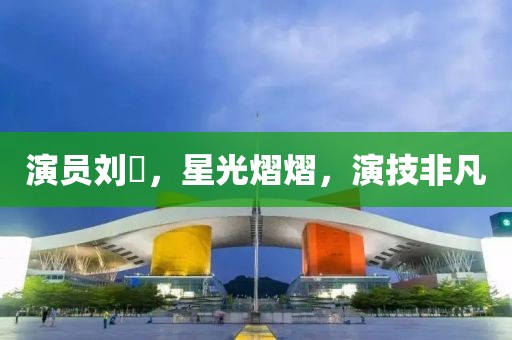 演員劉犇，星光熠熠，演技非凡