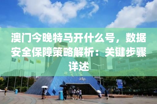 澳門今晚特馬開什么號，數據安全保障策略解析：關鍵步驟詳述