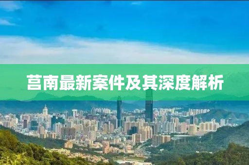 莒南最新案件及其深度解析