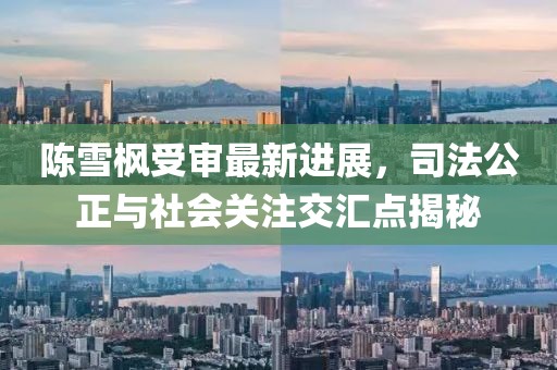 陳雪楓受審最新進展，司法公正與社會關(guān)注交匯點揭秘