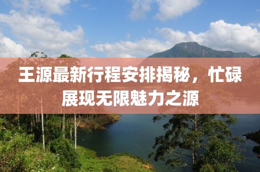 王源最新行程安排揭秘，忙碌展現(xiàn)無限魅力之源