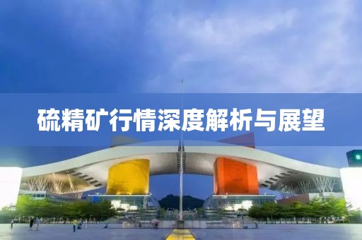 硫精礦行情深度解析與展望