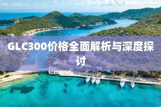 GLC300價(jià)格全面解析與深度探討