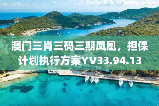 澳門三肖三碼三期鳳凰，擔(dān)保計(jì)劃執(zhí)行方案YV33.94.13