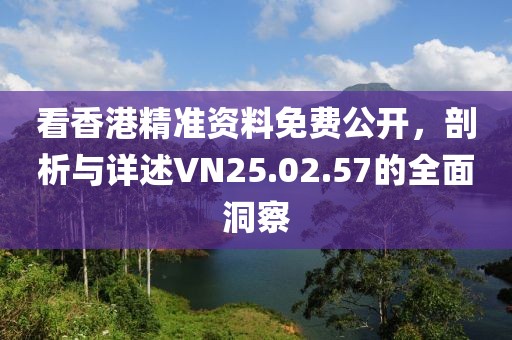 看香港精準(zhǔn)資料免費(fèi)公開，剖析與詳述VN25.02.57的全面洞察
