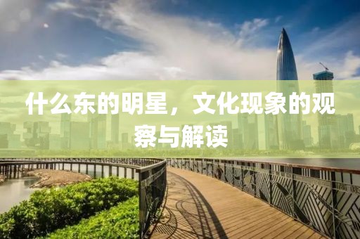什么東的明星，文化現(xiàn)象的觀察與解讀
