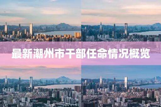 最新潮州市干部任命情況概覽