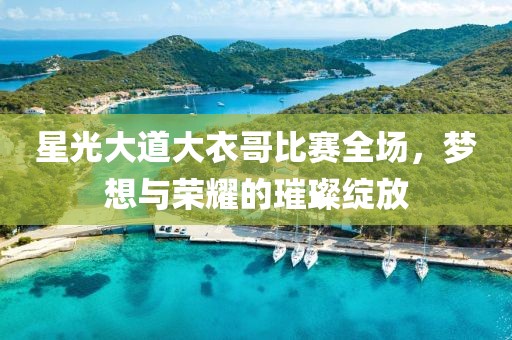 星光大道大衣哥比賽全場(chǎng)，夢(mèng)想與榮耀的璀璨綻放