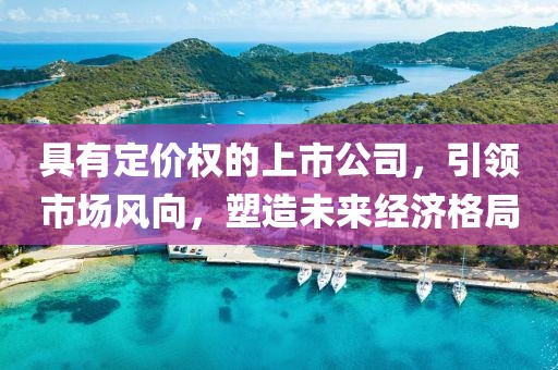 具有定價權(quán)的上市公司，引領(lǐng)市場風(fēng)向，塑造未來經(jīng)濟(jì)格局