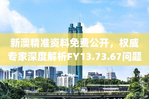 新澳精準(zhǔn)資料免費(fèi)公開，權(quán)威專家深度解析FY13.73.67問題
