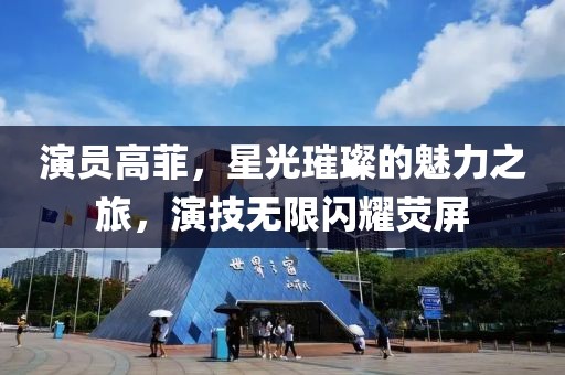 演員高菲，星光璀璨的魅力之旅，演技無限閃耀熒屏