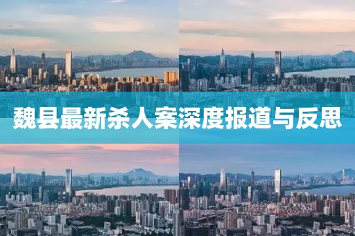 魏縣最新殺人案深度報(bào)道與反思