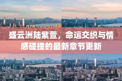 盛云洲陸紫萱，命運交織與情感碰撞的最新章節(jié)更新