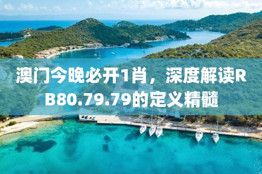 澳門今晚必開1肖，深度解讀RB80.79.79的定義精髓